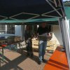 Kartoffel_2011_1