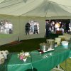 Kartoffel_2011_25