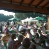 Kartoffel_2011_35