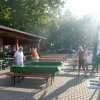 Kartoffel_2011_4