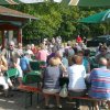 Kartoffel_2011_46