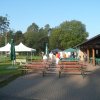 Kartoffel_2011_7