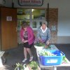 Kartoffel_2012_2