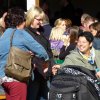 Kartoffel_2013_18