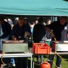 Kartoffel_2013_7