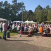 Kartoffel_2014_10