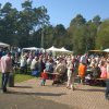 Kartoffel_2014_11