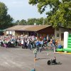 Kartoffel_2015_gro_1