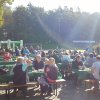 Kartoffel_2015_gro_11