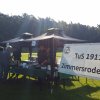 Kartoffel_2015_gro_13