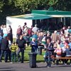 Kartoffel_2015_gro_17