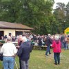 Kartoffel_2016_10