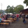 Kartoffel_2016_7