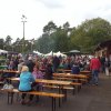 Kartoffel_2016_8