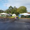 Kartoffel_2017_1