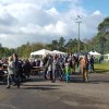 Kartoffel_2017_13