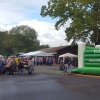 Kartoffel_2017_17