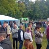 Kartoffel_2017_19