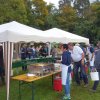 Kartoffel_2017_3