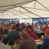 Kartoffel_2017_9