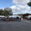 Kartoffel_2019_10