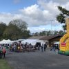 Kartoffel_2019_11